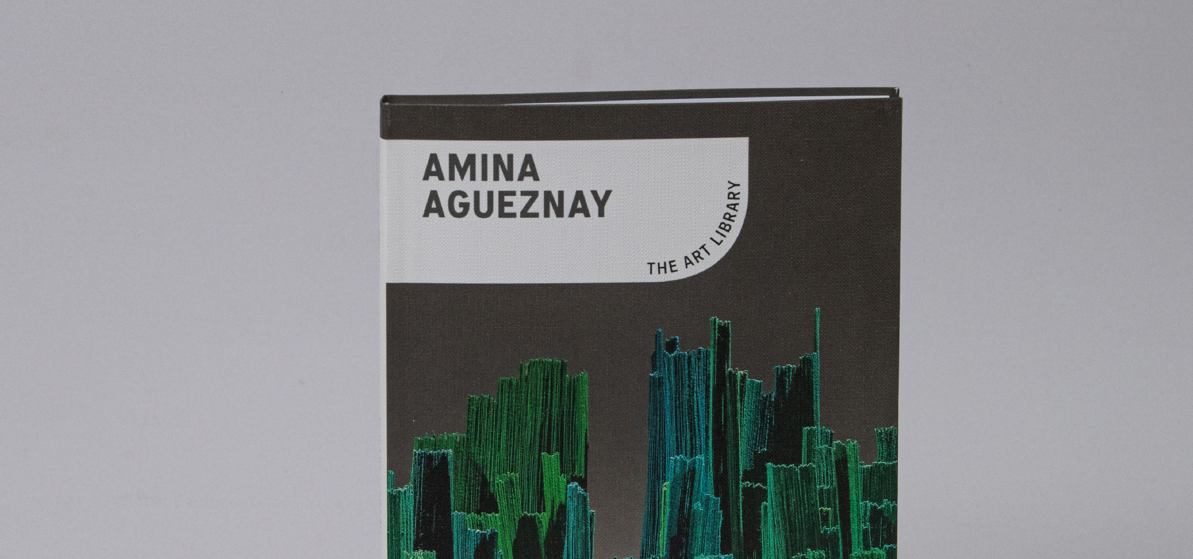 Amina Agueznay